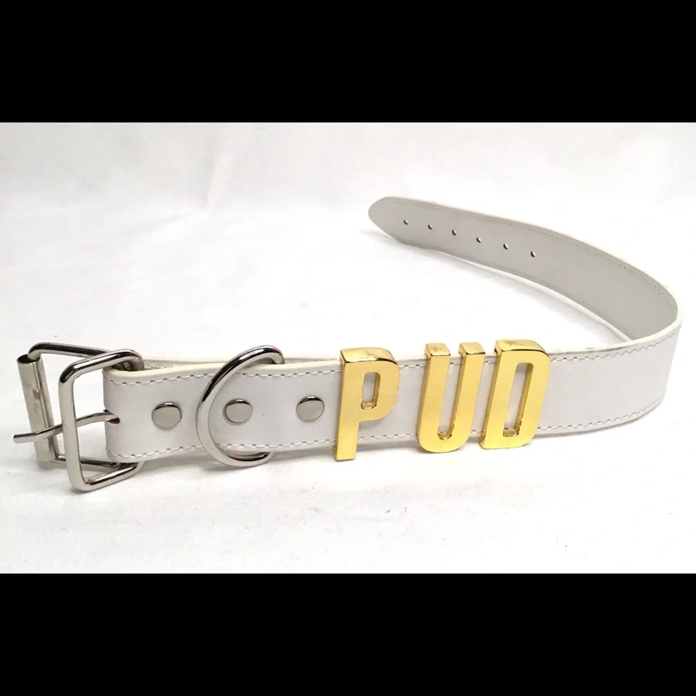 💎White Dog Collar Faux Leather With Metallic Letters Spelling PUD